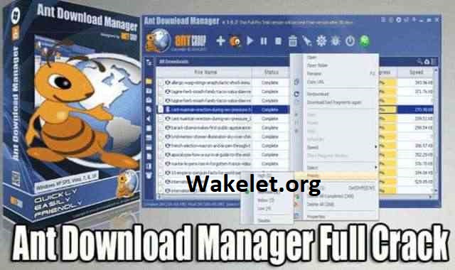 Ant Download Manager Pro 2.8.1 Build 82888 With Crack 2022