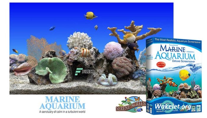 SereneScreen Marine Aquarium 3.3.6381 Crack Latest 2023